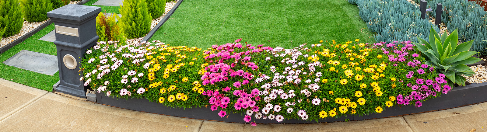 A tidy front yard with colorful flower border, synthetic grass and walkway to the front porch.