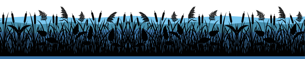 A stylized graphic of cattails and reeds on the bank of the lake.
